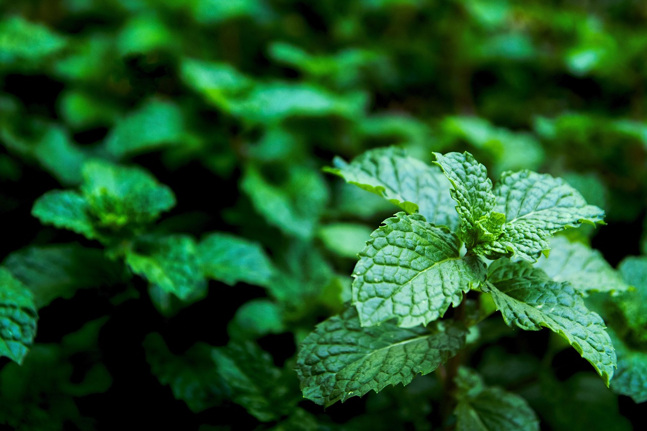 Crio Age Eyes: scopri se è una truffa o un vero segreto di bellezza