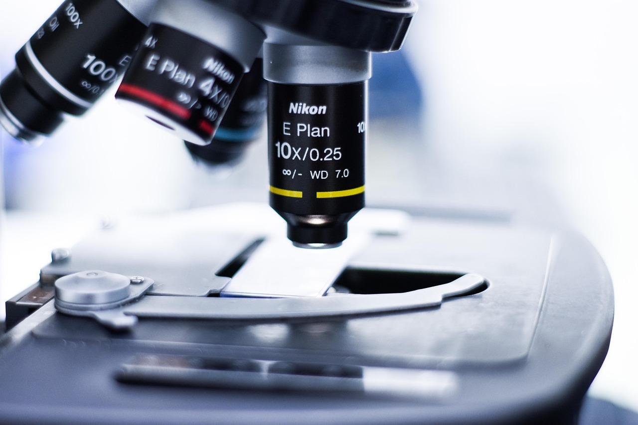 Guida completa all'efficacia di Adipe Patch: cosa dice la scienza